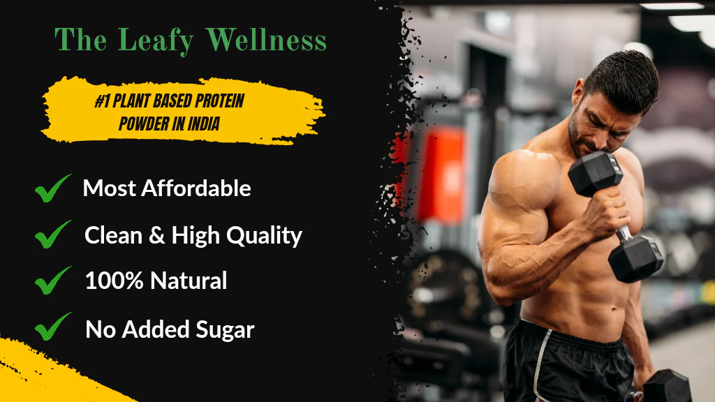 Plant_based_Protein_Powder_1024_x_576_px__20250909_174120_0000